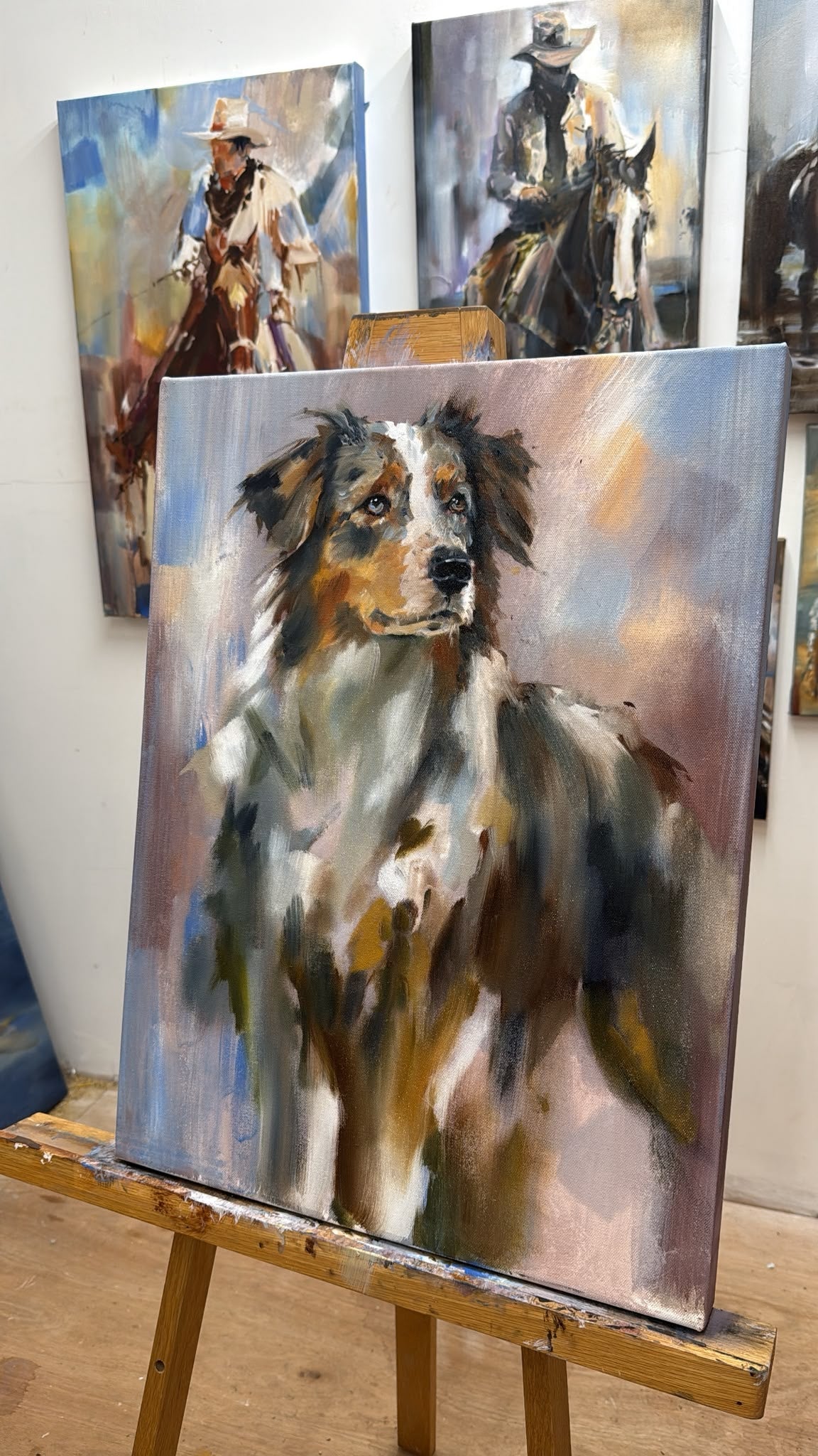 Blue merle