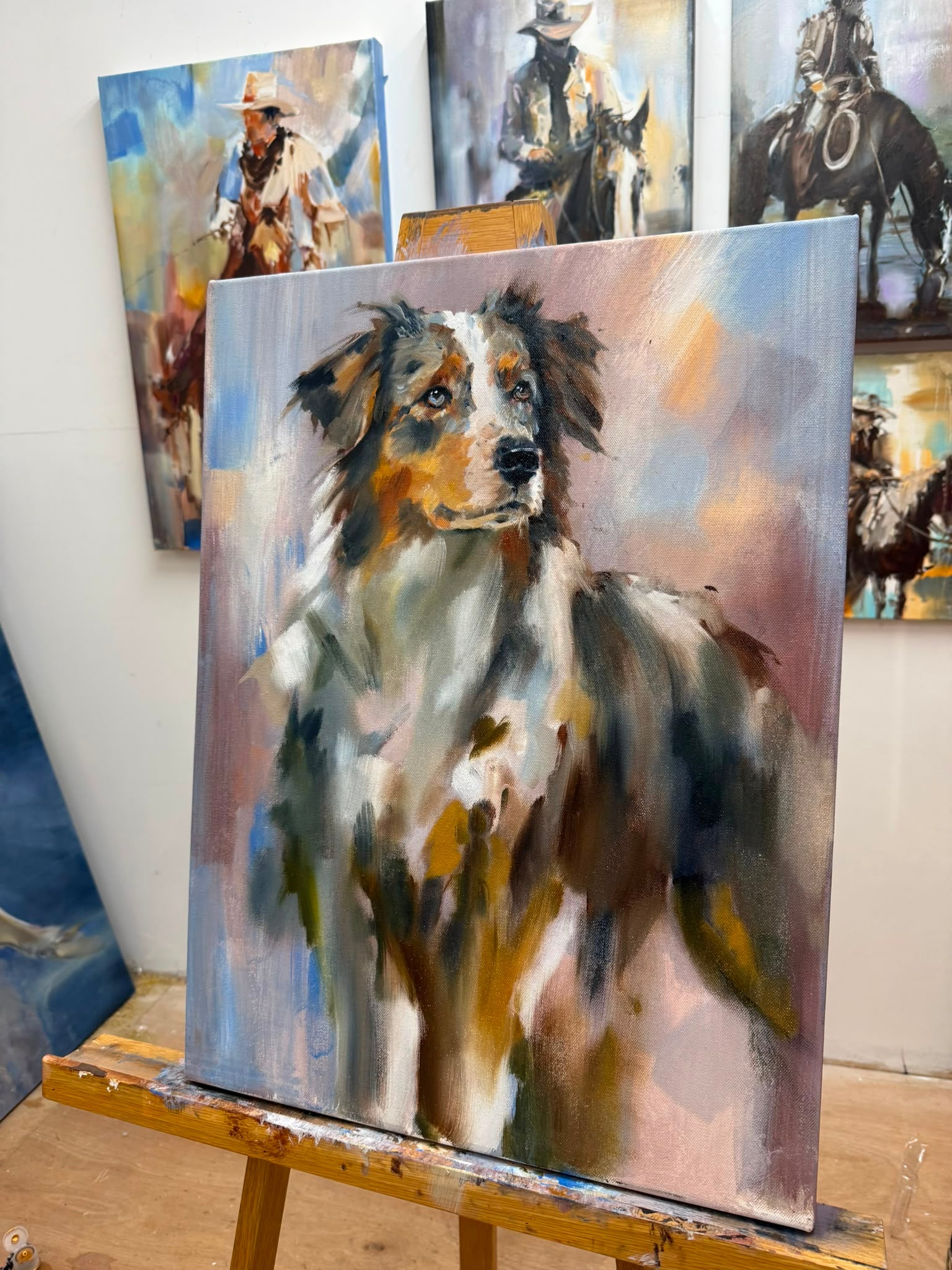 Blue merle